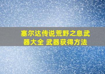 塞尔达传说荒野之息武器大全 武器获得方法